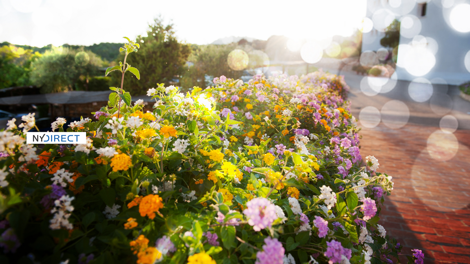 10 Essential Tips to Get Your Home Summer-Ready