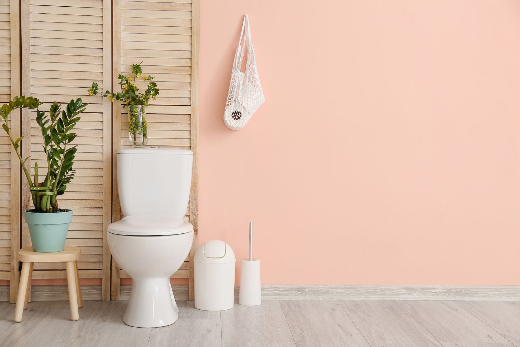A traditional toilet inside a bathroom beside a garbage can, plunger, potted plant, and some toilet paper