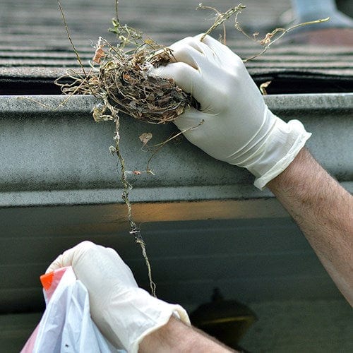 AMMEX® Gloveworks®Ivory Latex Industrial Powdered Disposable Gloves - NYDIRECT