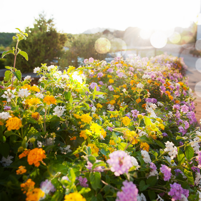 10 Essential Tips to Get Your Home Summer-Ready