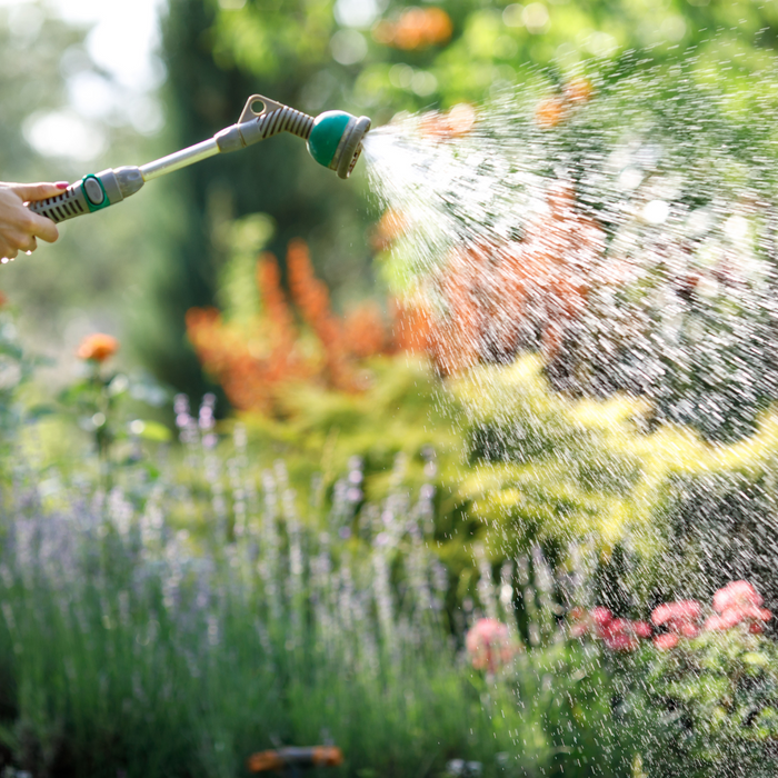 A woman uses a garden hose equipped with a spray nozzle to water flowers