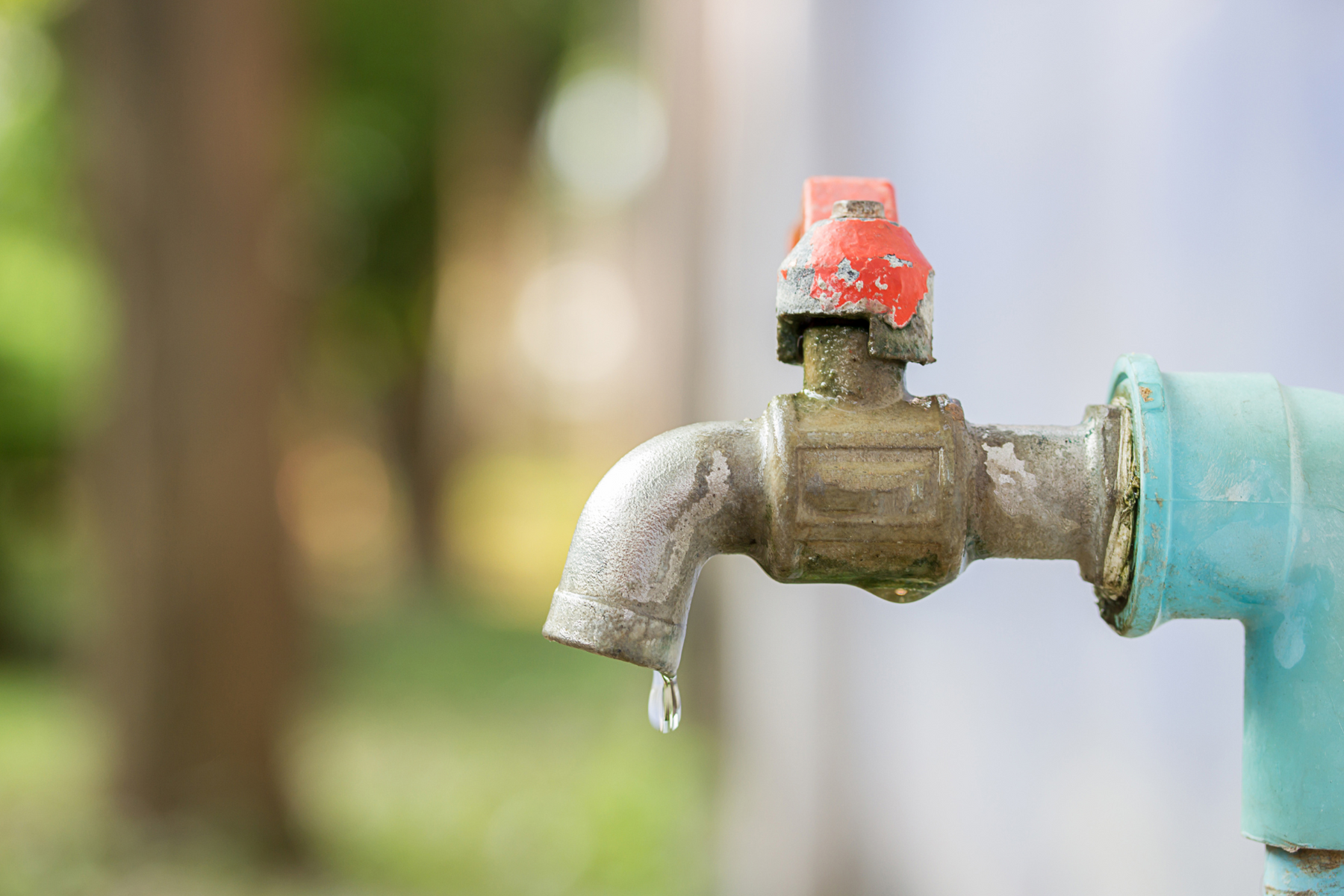 Leaking outdoor faucet with red handle