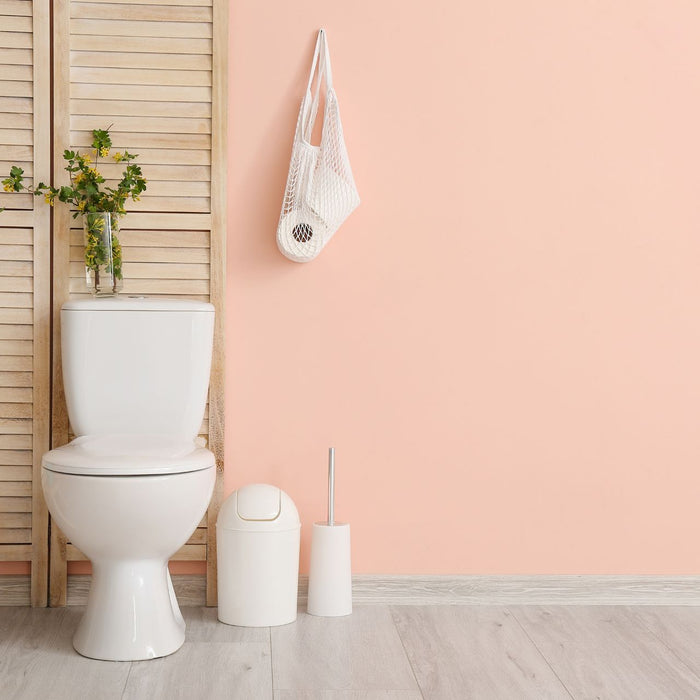 A traditional toilet inside a bathroom beside a garbage can, plunger, potted plant, and some toilet paper