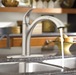 Moen 7545 Camerist Pullout Kitchen Faucet - NYDIRECT